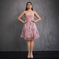 Sling Ball Dress Mesh Dress Short Birthday Host Adult Formal Dress Women
